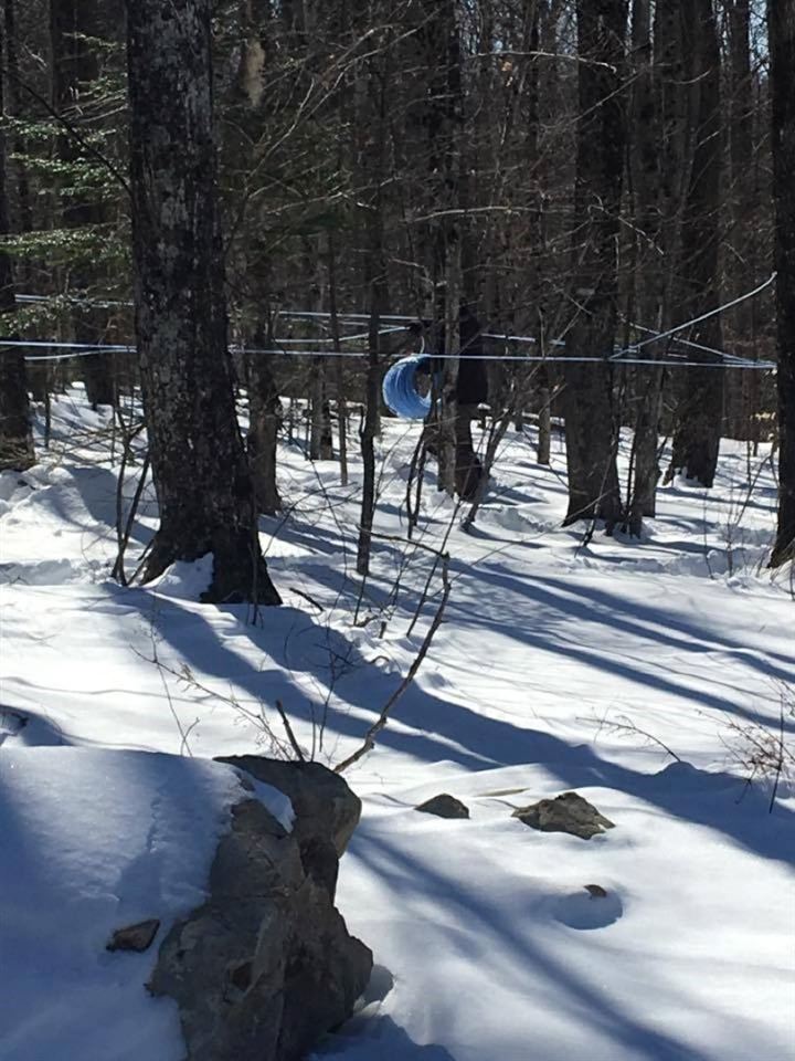 454 Potvin Road Newport Town, VT 05855 - Photo 38 of 39 Gallery Image 38