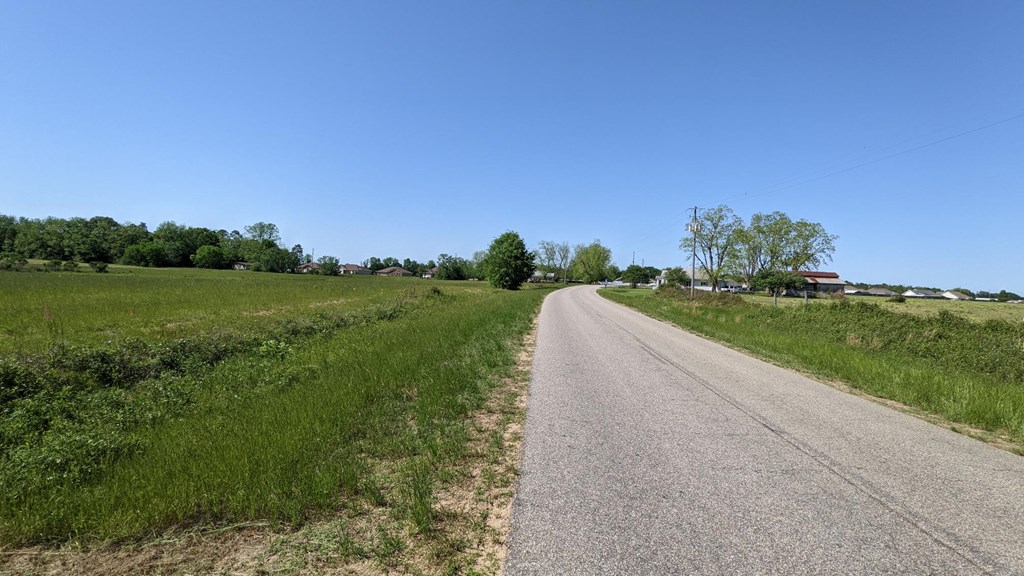 0 Suggs Rd/co Road Headland, AL 36345 - Photo 4 of 5