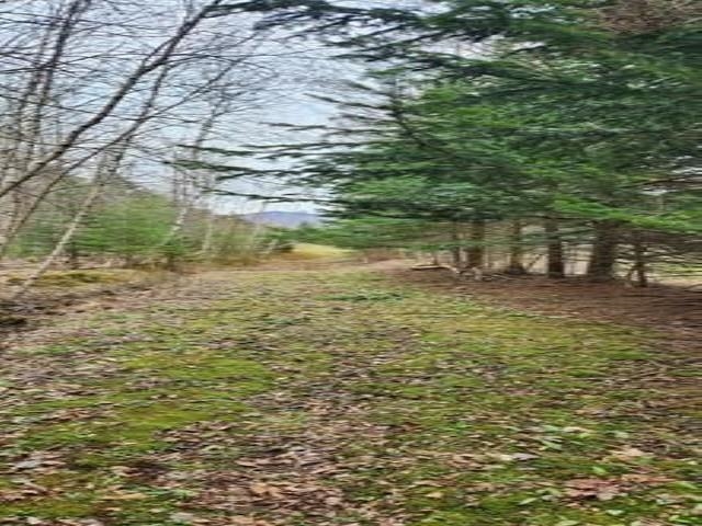 0 Thomas Drive Montgomery Center, VT 05471 - Photo 11 of 21