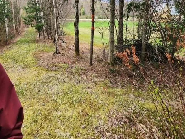 $135,000 | 0 Thomas Drive, Montgomery Center, VT 05471