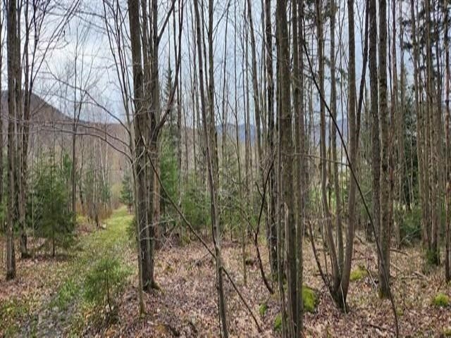 0 Thomas Drive Montgomery Center, VT 05471 - Photo 13 of 21