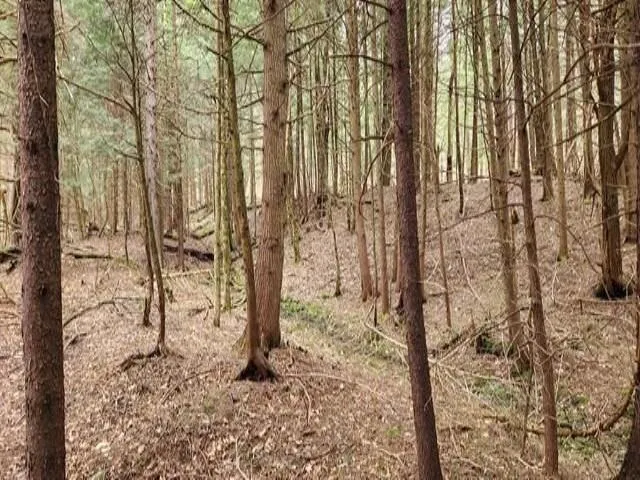 $135,000 | 0 Thomas Drive, Montgomery Center, VT 05471