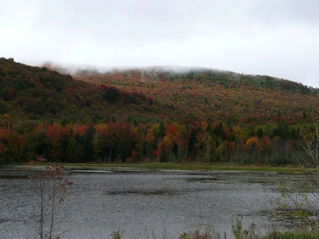 $135,000 | 0 Thomas Drive, Montgomery Center, VT 05471