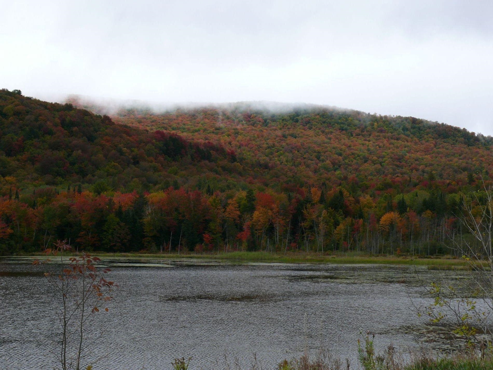 0 Thomas Drive Montgomery Center, VT 05471 - Photo 19 of 21