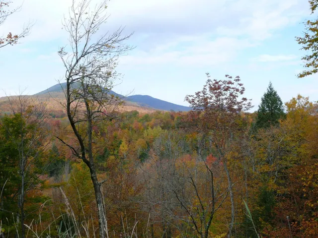 $135,000 | 0 Thomas Drive, Montgomery Center, VT 05471