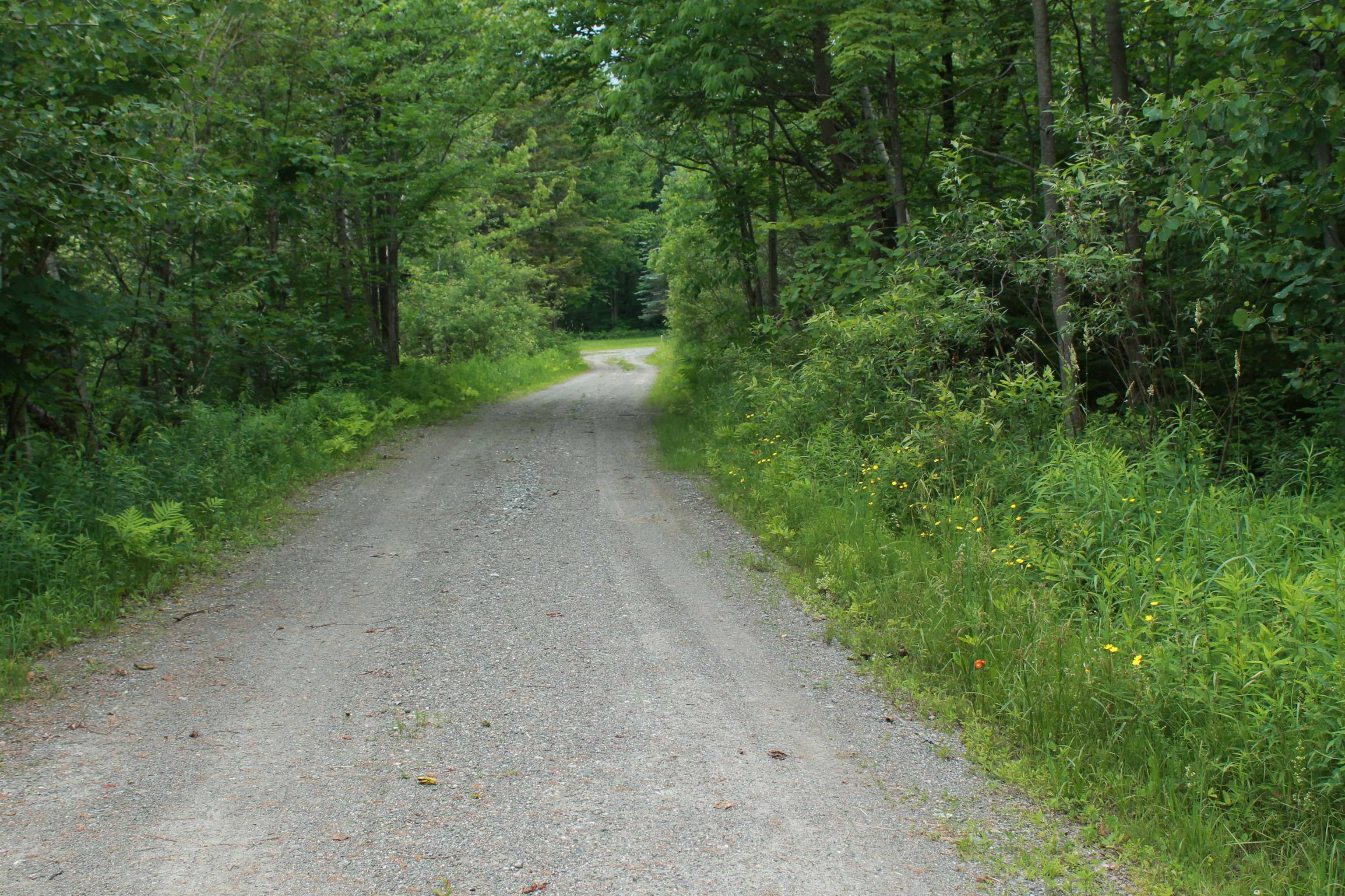 0 Thomas Drive Montgomery Center, VT 05471 - Photo 4 of 21
