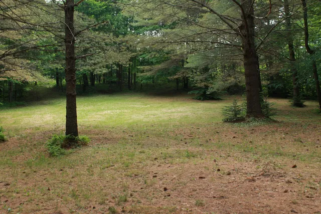 $135,000 | 0 Thomas Drive, Montgomery Center, VT 05471