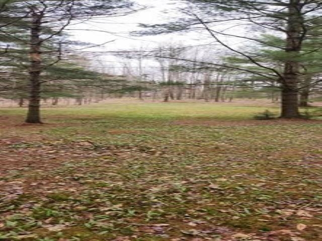 0 Thomas Drive Montgomery Center, VT 05471 - Photo 8 of 21