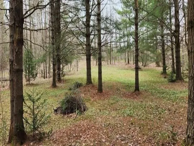 $135,000 | 0 Thomas Drive, Montgomery Center, VT 05471