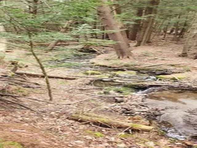 $135,000 | 0 Thomas Drive, Montgomery Center, VT 05471