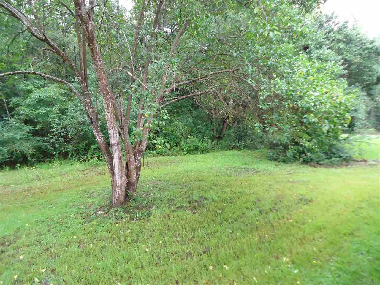 9320 Old Flomaton Road Century, FL 32535 - Photo 11 of 13