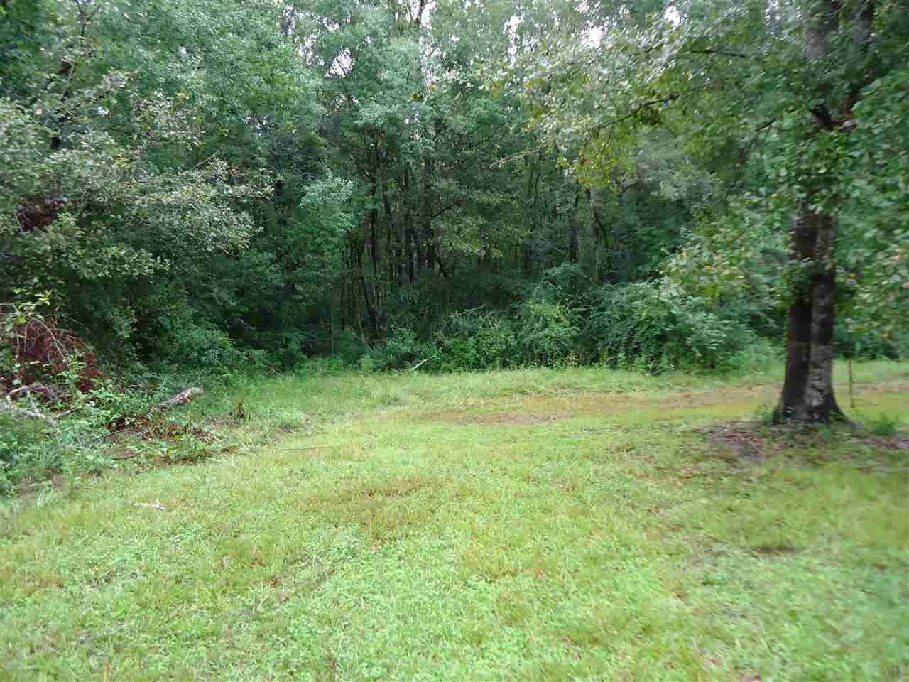 9320 Old Flomaton Road Century, FL 32535 - Photo 10 of 13