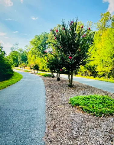 a view of a bench in a garden