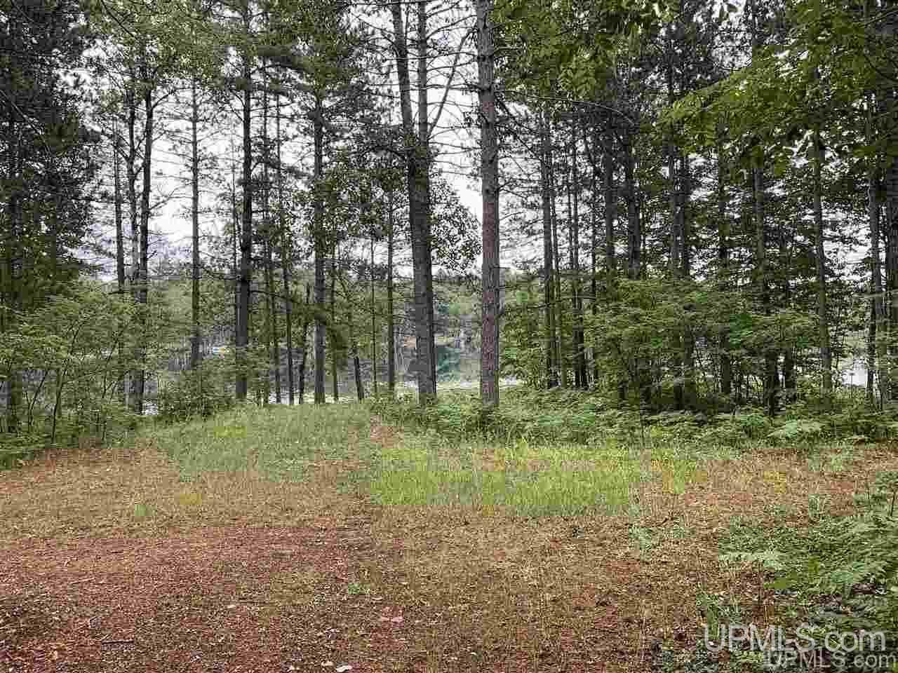 N3318 Twin Lakes Road Wetmore, MI 49895 - Photo 8 of 19