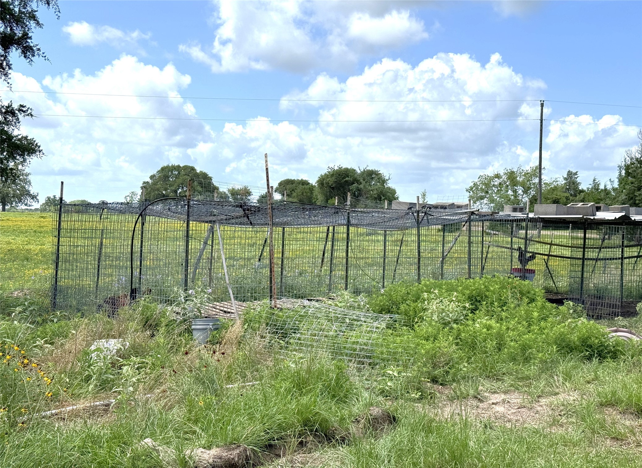 1435 Shaws Bend Road Columbus, TX 78934 - Photo 20 of 36