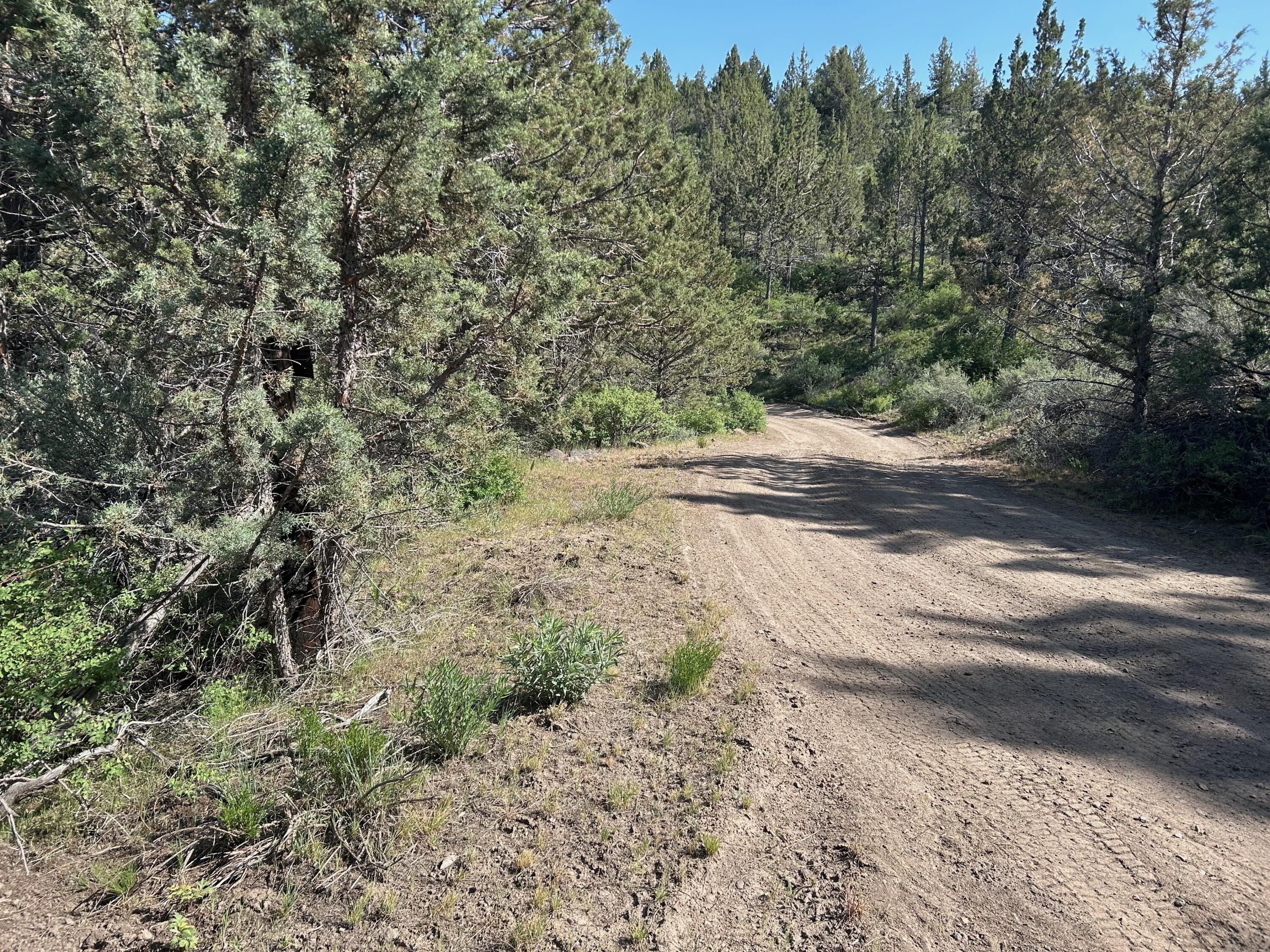 Southeast Simpson Road, Unit TL4487 & TL4488 Prineville, OR 97754 - Photo 5 of 12 Simpson Road