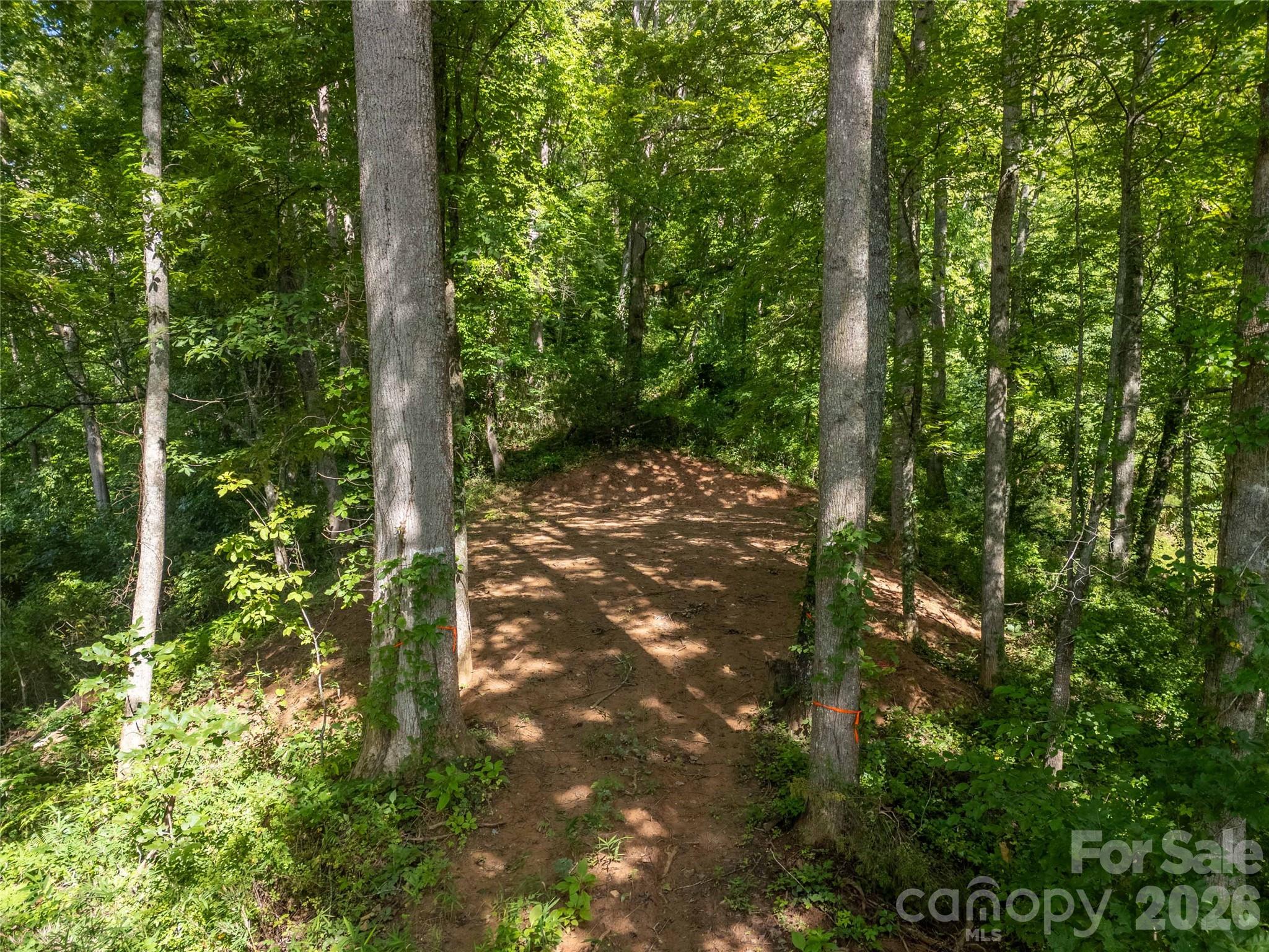Lot D Claude Cook Road Sylva, NC 28779 - Photo 6 of 7 Gallery Image 6
