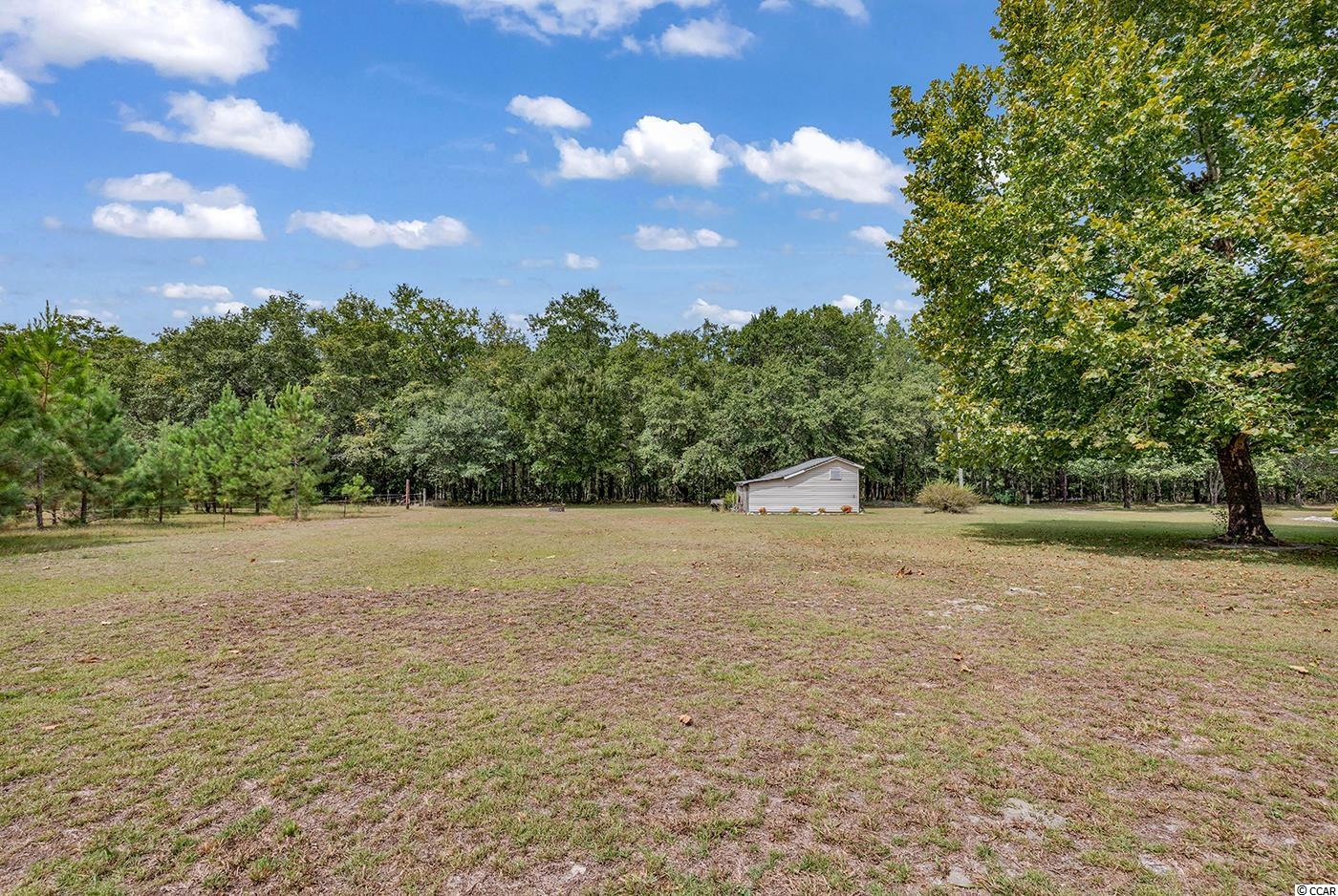 1078 Wolf Pit Bay Road Nichols, SC 29581 - Photo 33 of 38 Gallery Image 33