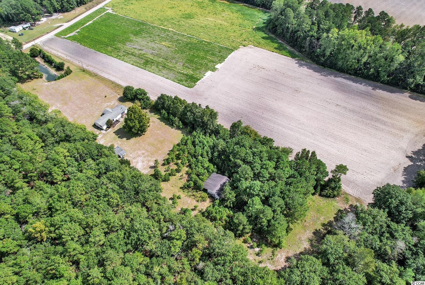 1078 Wolf Pit Bay Road Nichols, SC 29581 - Photo 35 of 38 Gallery Image 35