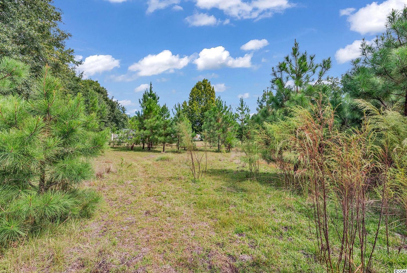 1078 Wolf Pit Bay Road Nichols, SC 29581 - Photo 38 of 38 Gallery Image 38
