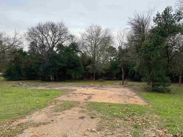 a view of a backyard with green space