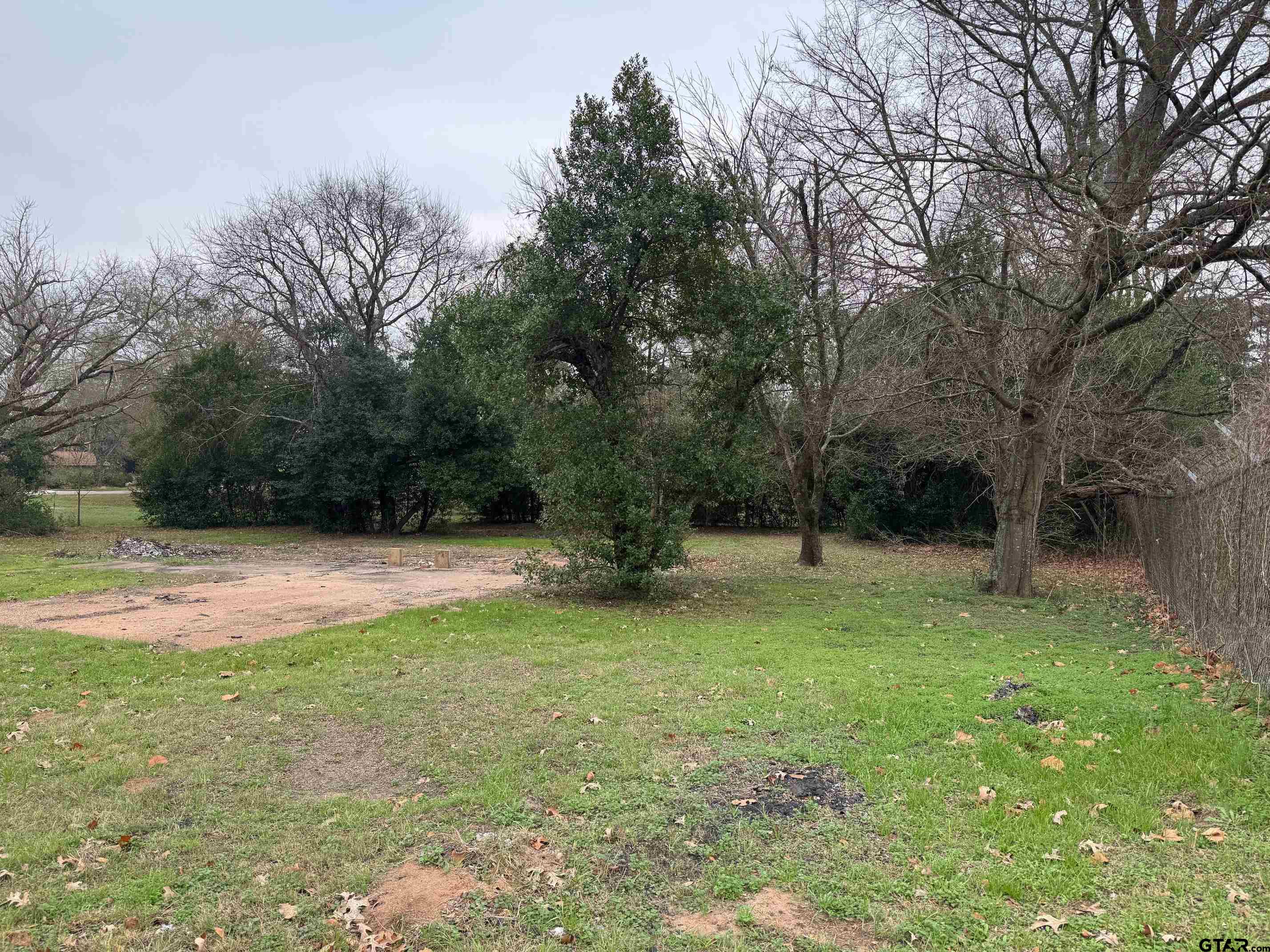 211 3rd Street Grapeland, TX 75844 - Photo 2 of 4 a view of backyard with green space
