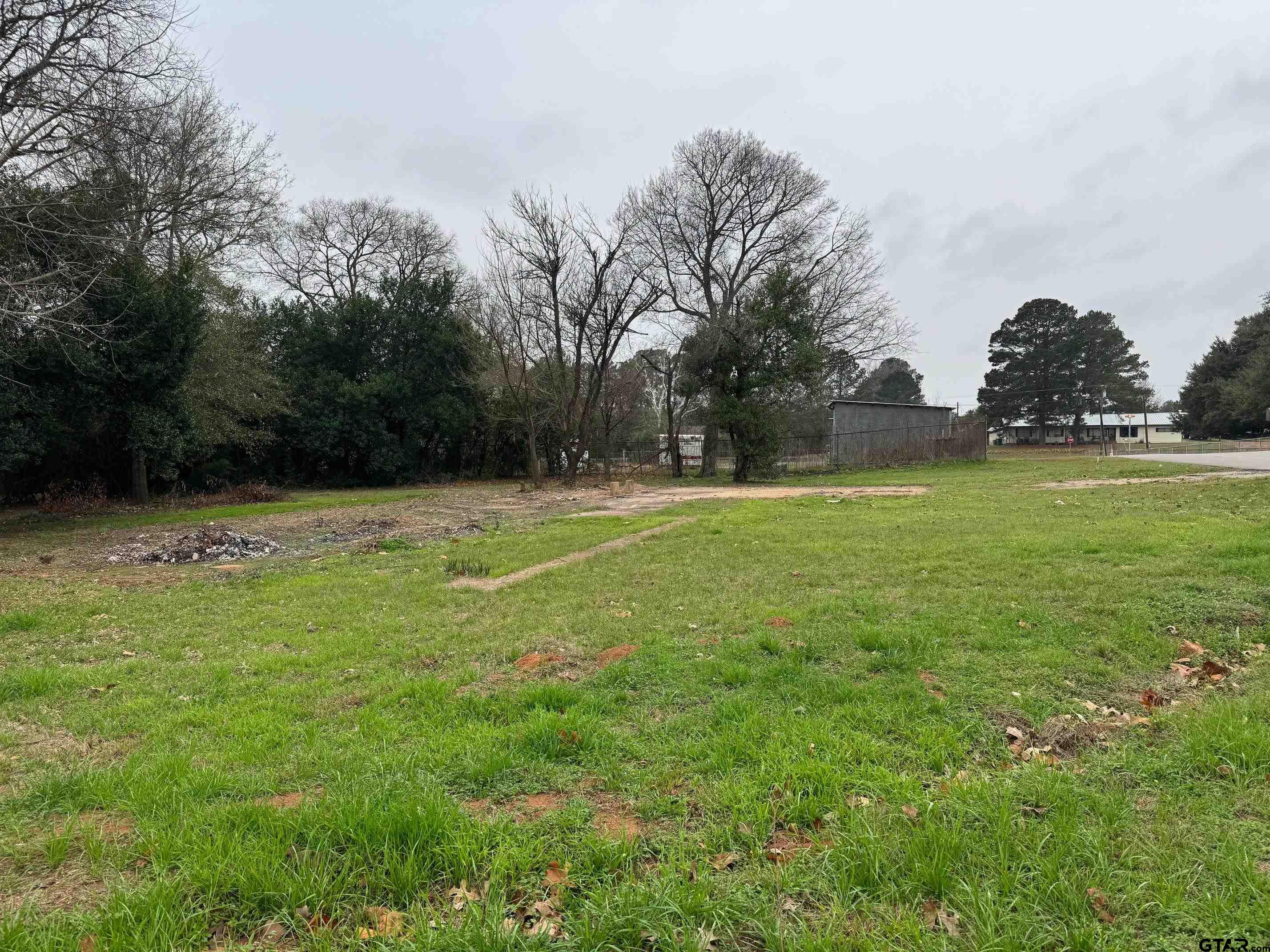 211 3rd Street Grapeland, TX 75844 - Photo 4 of 4 a view of outdoor space with a garden and trees