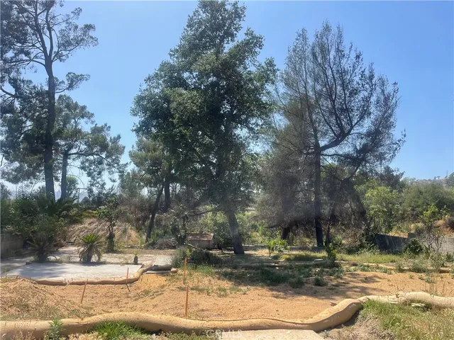 a view of a yard with large trees
