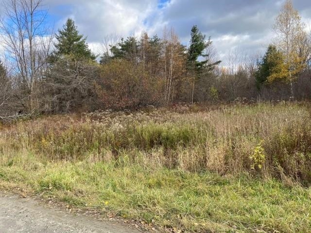 0 Cheney Road Lowell, VT 05847 - Photo 5 of 5