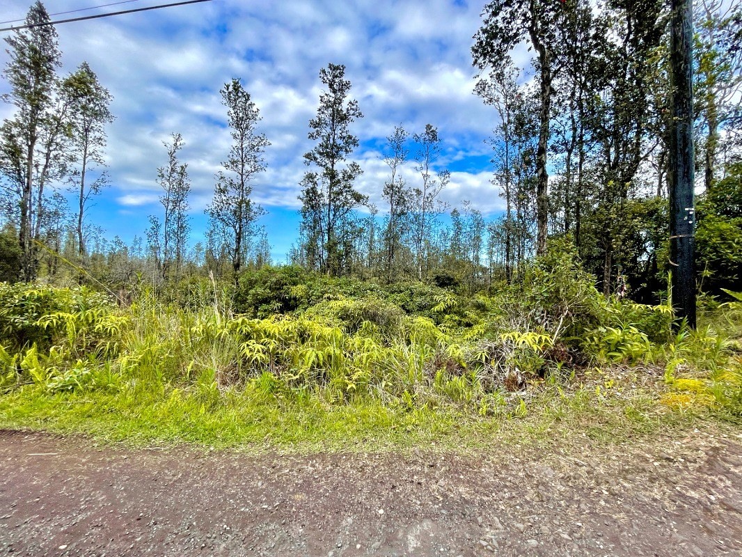 4316 Ooaa Road Pahoa, HI 96778 - Photo 11 of 12 Gallery Image 11