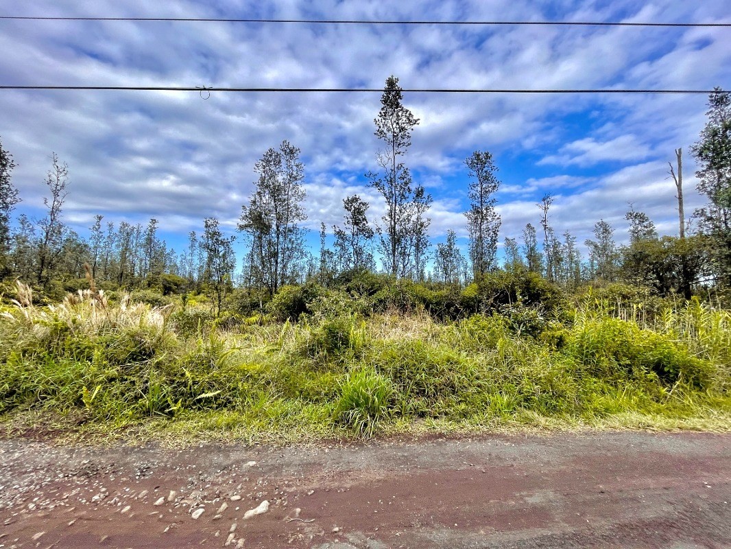 4316 Ooaa Road Pahoa, HI 96778 - Photo 8 of 12 Gallery Image 8