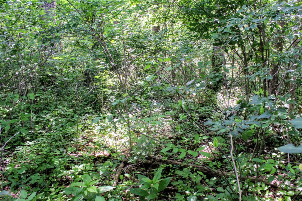 18218 27 Mile Road Springport, MI 49284 - Photo 46 of 64
