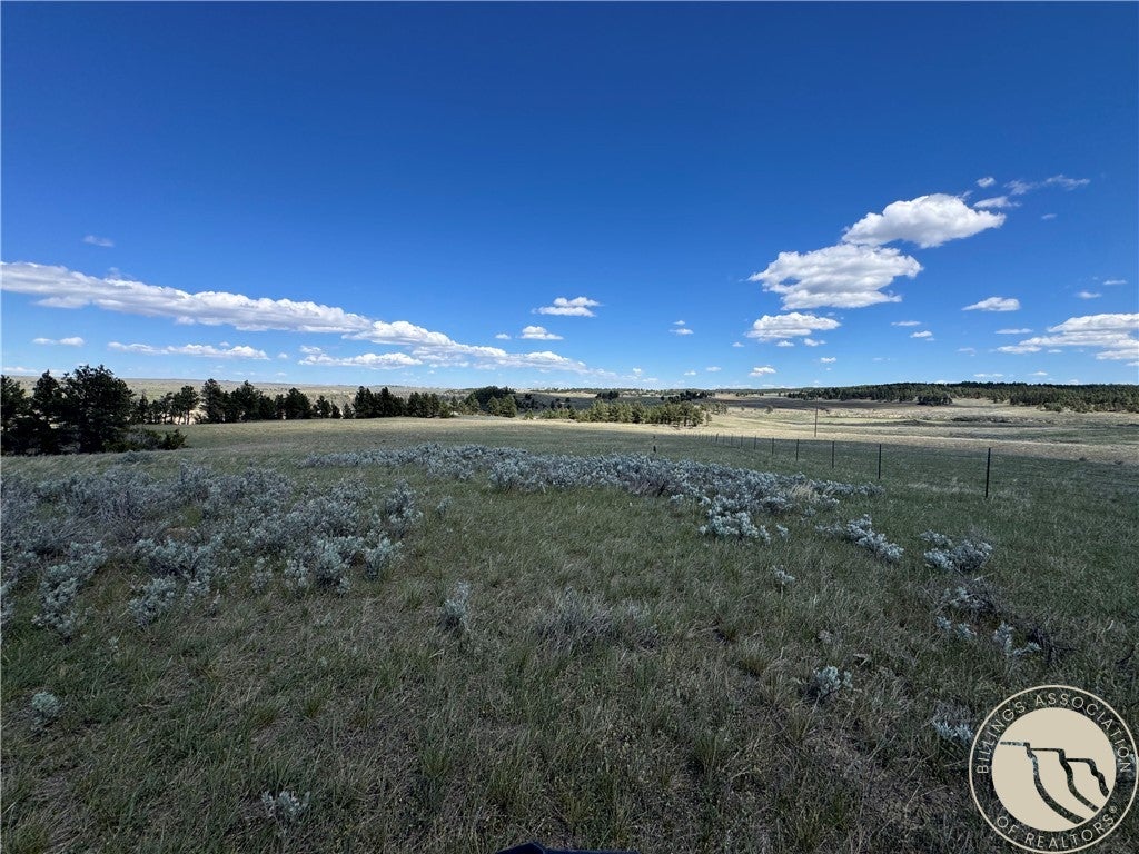 389 Number 4 Road Roundup, MT 59072 - Photo 28 of 45 Gallery Image 28
