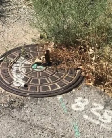 a view of a swimming pool