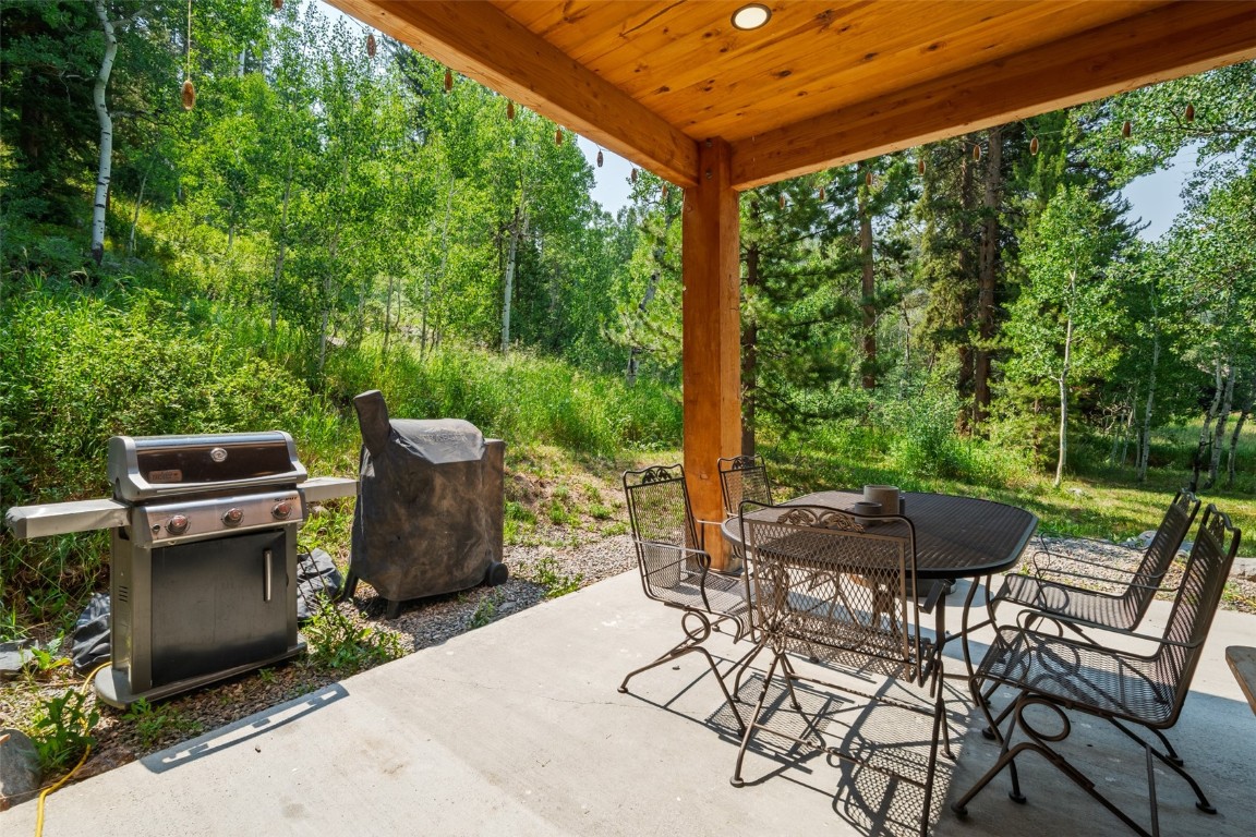 29195 River Drive Clark, CO 80428 - Photo 28 of 36 a view of a patio with table and chairs barbeque potted plants and large tree