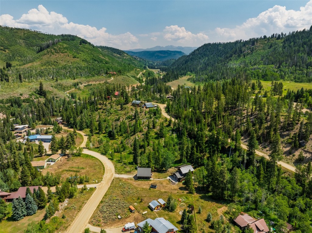 29195 River Drive Clark, CO 80428 - Photo 34 of 36 a view of a lush green hillside and houses