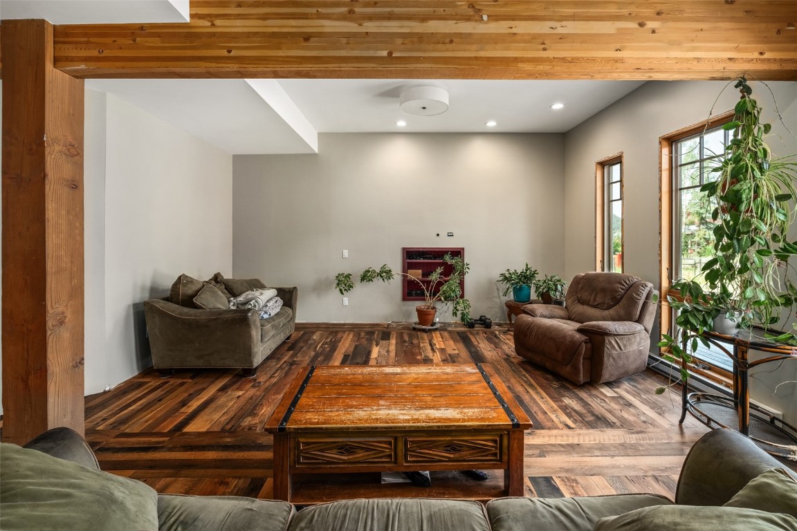 29195 River Drive Clark, CO 80428 - Photo 4 of 36 a living room with furniture and a potted plant