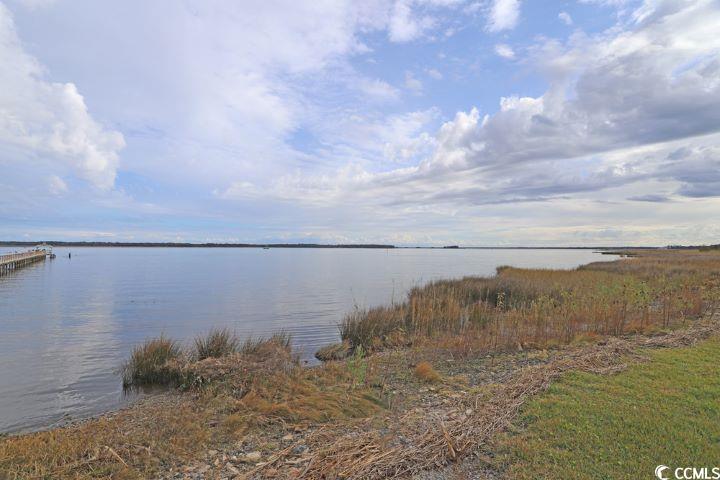 2613 Seaport Circle Georgetown, SC 29440 - Photo 7 of 13