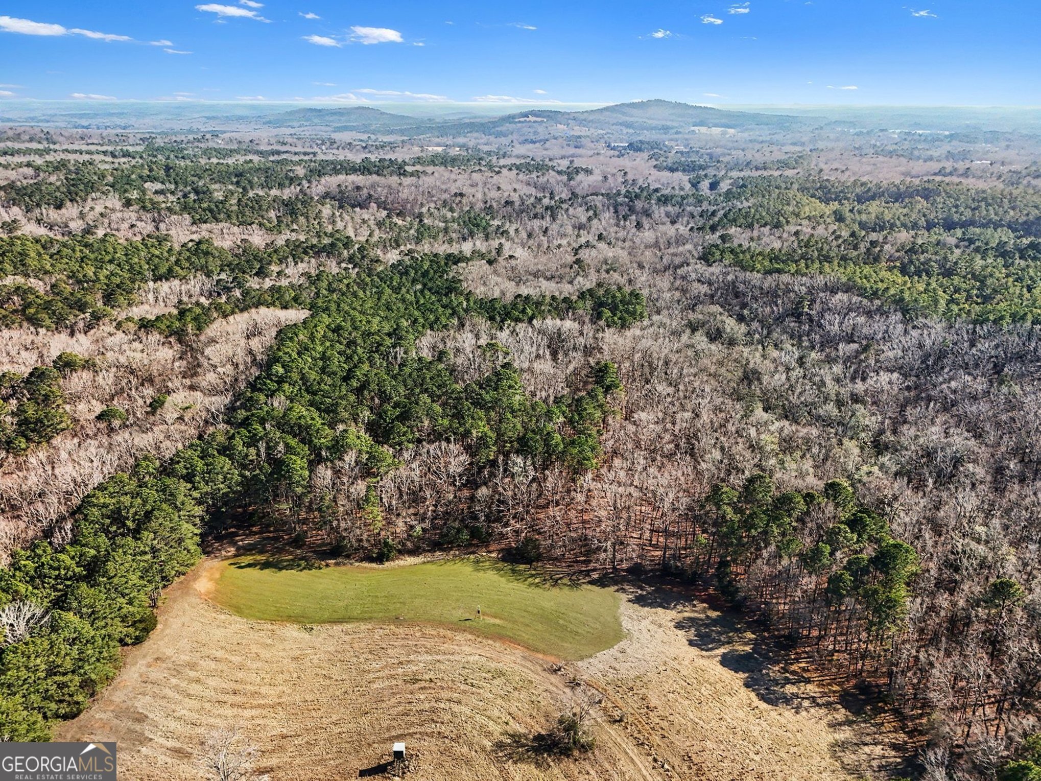 0 Vineyard Road Thomaston, GA 30286 - Photo 9 of 40
