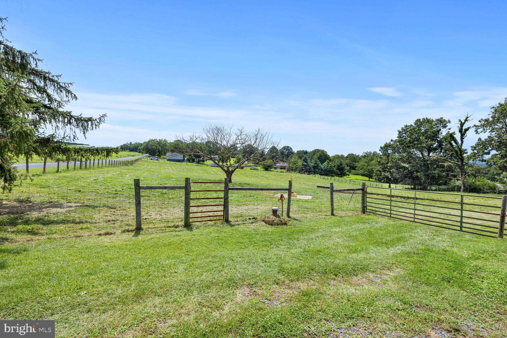1275 Georgetown Road Mount Jackson, VA 22842 - Photo 15 of 45 a view of a park