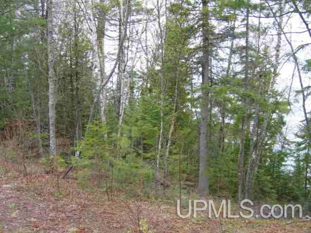 Five Mile Point Road Allouez, MI 49805 - Photo 12 of 18