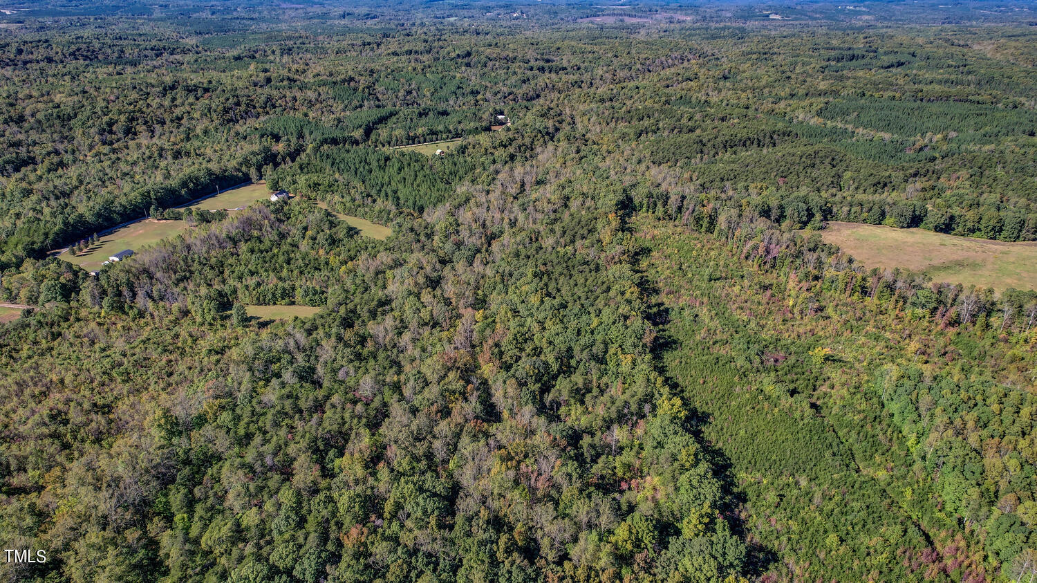 0 Cherry Grove Road Yanceyville, NC 27379 - Photo 5 of 9 a view of a forest with a street