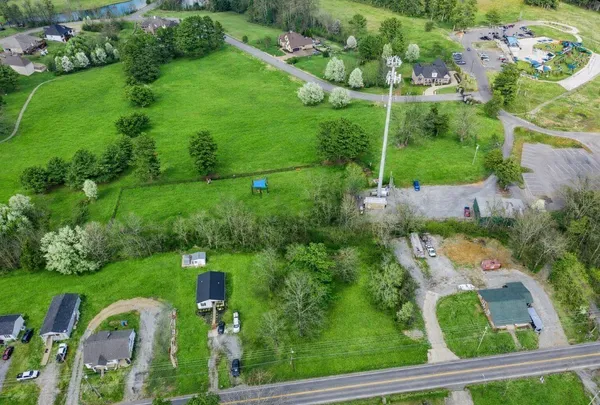 a view of a garden with plants