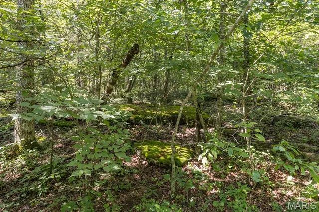 $283,500 | 5 Cedar Hollow Road, Fletcher, MO 63030