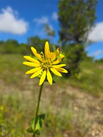 $283,500 | 5 Cedar Hollow Road, Fletcher, MO 63030