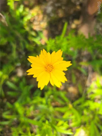 $283,500 | 5 Cedar Hollow Road, Fletcher, MO 63030