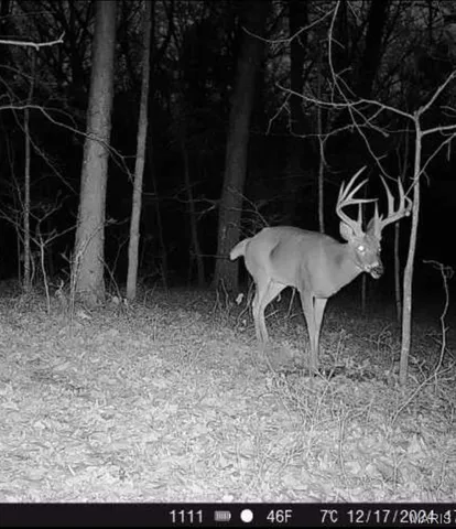 $283,500 | 5 Cedar Hollow Road, Fletcher, MO 63030