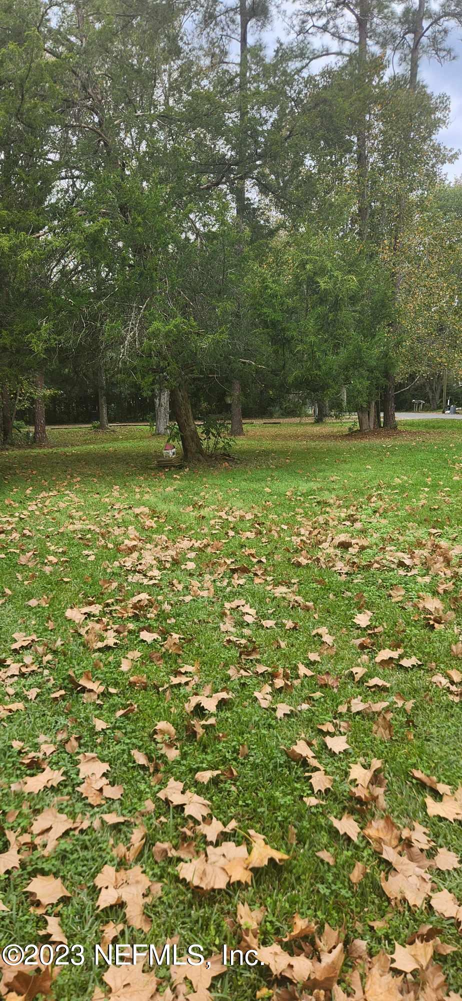 6744 Barney Road Jacksonville, FL 32219 - Photo 1 of 10 front yard house to road