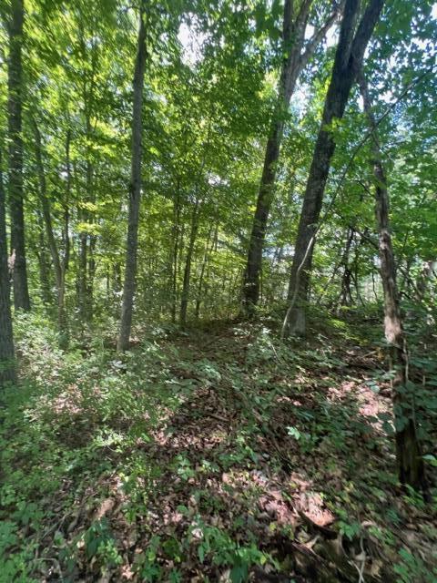 0 Thompson Ridge Road Laurelville, OH 43135 - Photo 3 of 5 IMG_2960