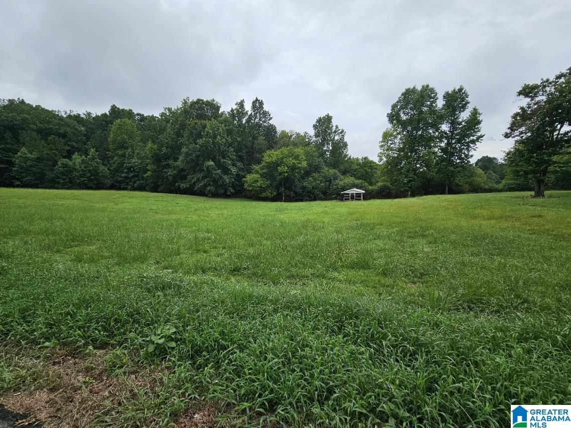 0 James Taylor Road Moody, AL 35004 - Photo 4 of 5